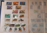 Коллекция марок       